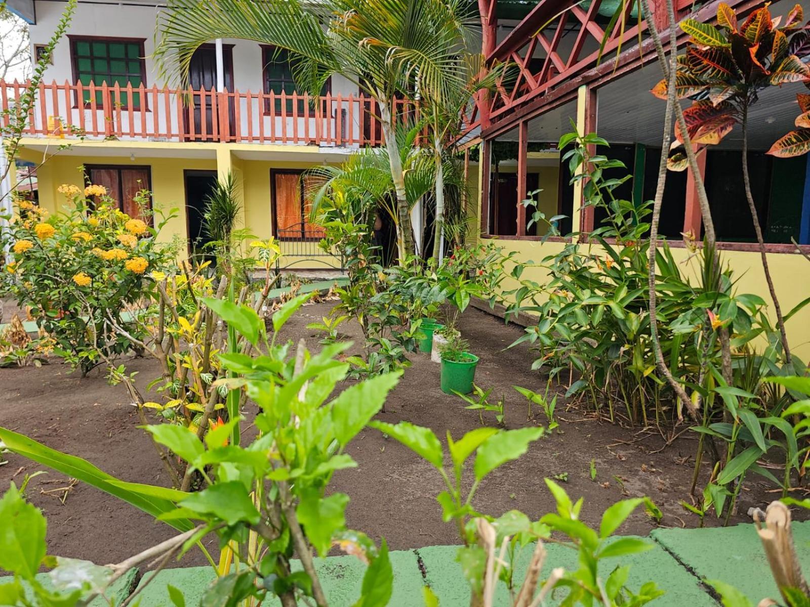 Cabinas Miss Miriam 2 Tortuguero Exterior foto
